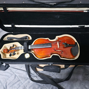Soli String 바이올린