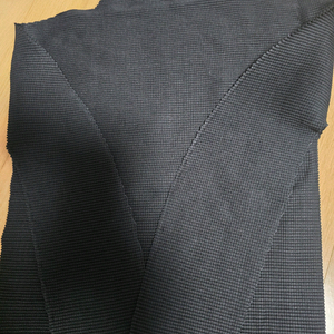 이세이미야케 미스트레치 플리츠플리즈