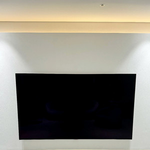 LG 올레드 evo AI 83인치 TV 판매합니다.