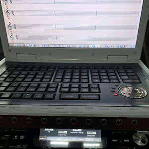 엘프반주기 E-800 반주기입니다