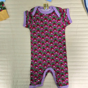 던스 라즈베리 74