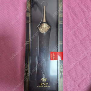 잘로 zalo 베스1,2 bess 카이로 kyro 새거