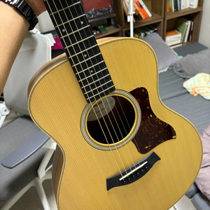 테일러 GS mini Walnut-E 19년식 픽업유 57만