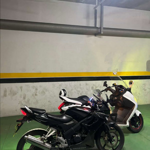 혼다 CBR125 (준튜닝차대)판매