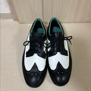 에코 윙팁 골프화