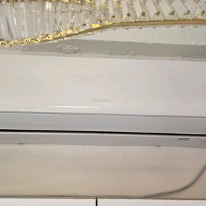 캐리어 인버터 냉난방기 14평형