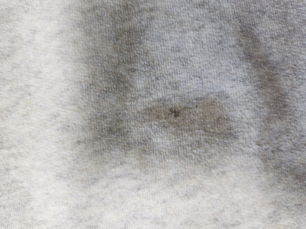 리틀비티 기모맨투맨 J140--5