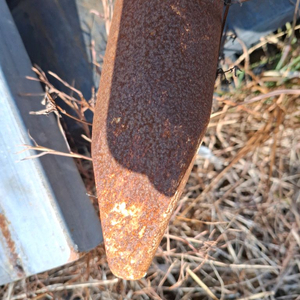 에버다임뿌레카