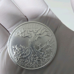 1온스 은화 10개 일괄판매 합니다 311g실버바