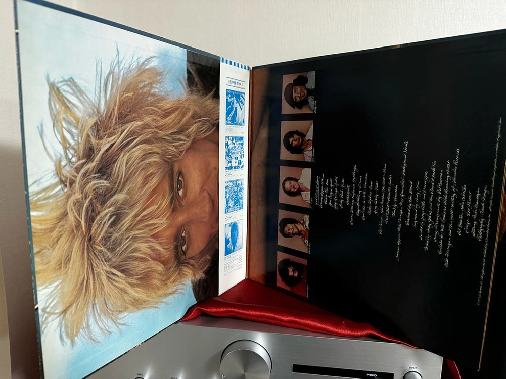 Rod Stewart Blondes Have More Fun(LP) 이미지