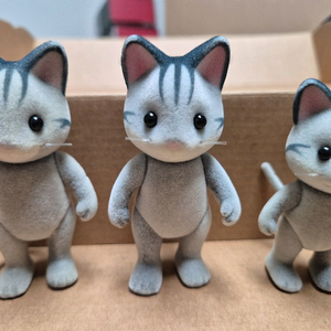 실바니안 올드 회색 줄무늬 고양이 (피셔캣아님)