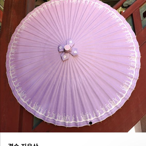 비꽃 겸손 지우산 코스모스 이미지