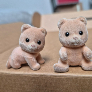실바니안 마멀레이드 곰 쌍둥이