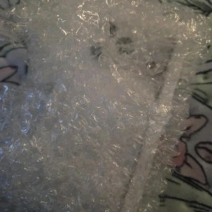 아이폰17프로 1테라 자급제 미개봉 네고x