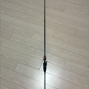 다이와 쿄쿠에이 카와하기 EX AGS MC 이미지