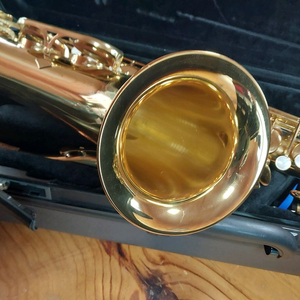 야마하 YTS-275색소폰 이미지