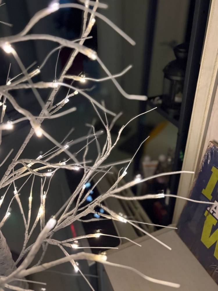 LED 자작나무 조명--2