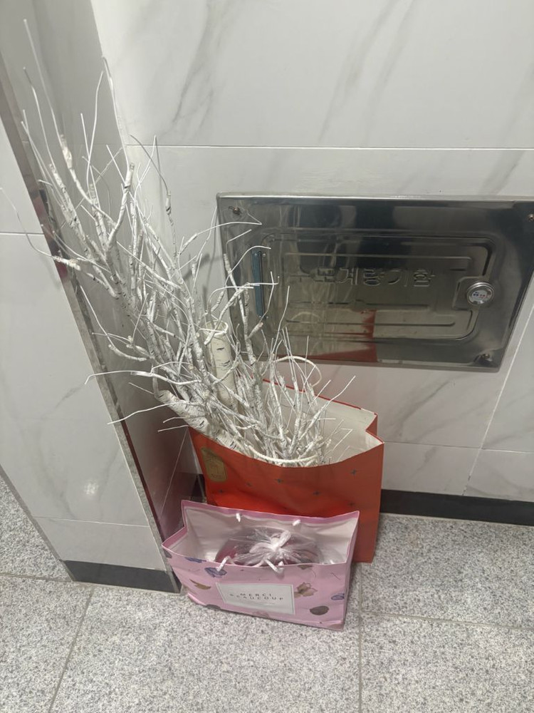 LED 자작나무 조명--3