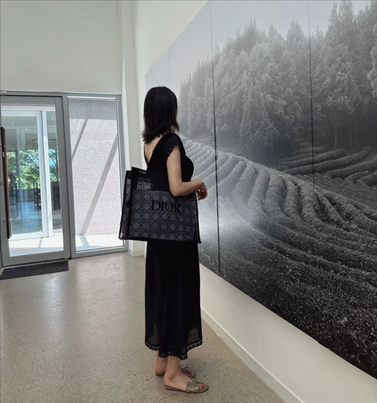 디올메쉬까나쥬토트백--2