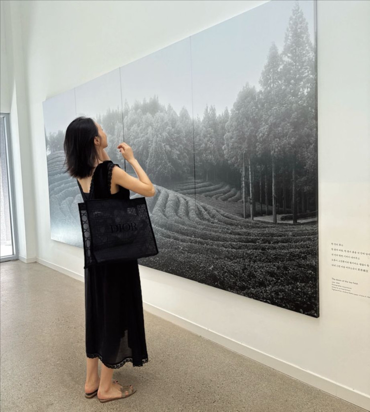 디올메쉬까나쥬토트백--4