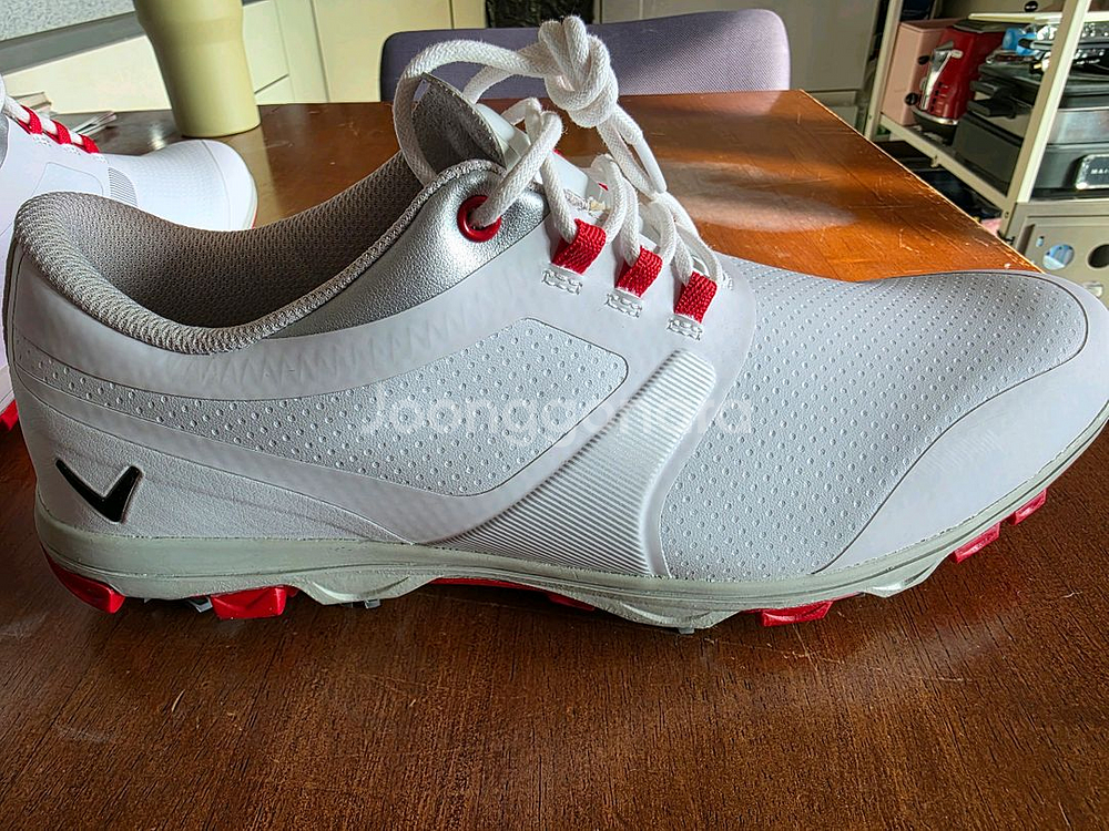 캘러웨이 남성 골프화 (새제품,정품)--2