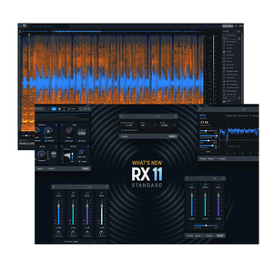 iZotope RX 11 STANDARD 음향편집 소프트웨어 플러그인 이미지