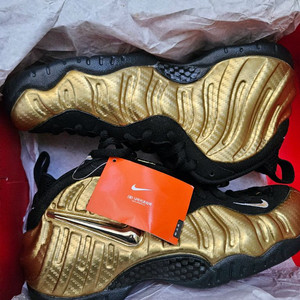 나코탭 폼포짓프로 메탈릭골드 270