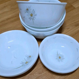 코렐 들국화,개당가