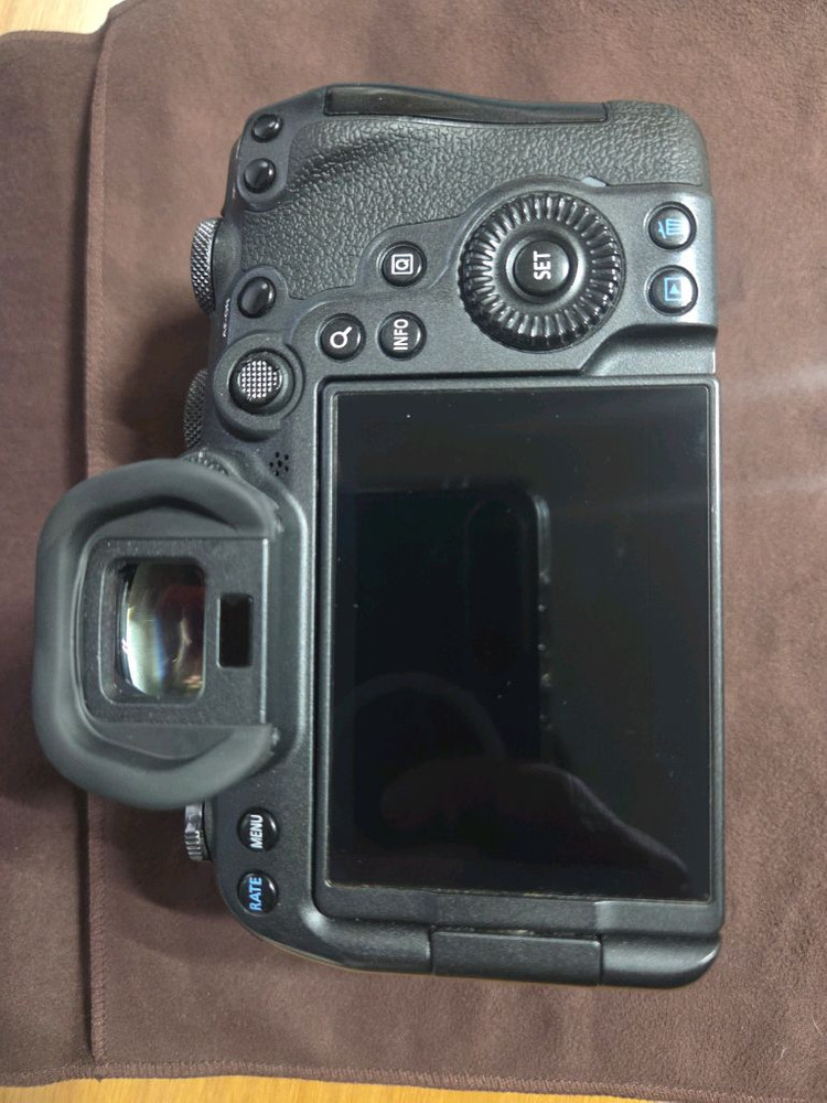 캐논 R6 미러리스 카메라--2