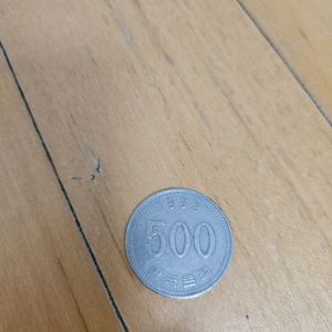 1982년 500원 이미지