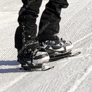 인라인스키 미니스키 포티스키 구합니다