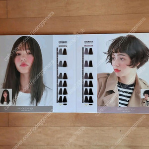 밀본 염색약 차트