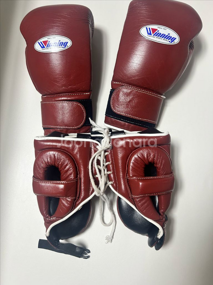 위닝 커스텀 글러브 헤드기어 세트로 팔아요 14온스 L사이즈--1