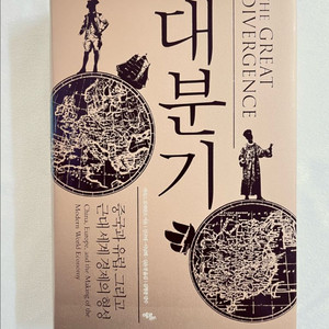 대분기 (케네스 포메란츠 저자 / 에코리브르)