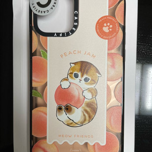 케이스티파이 아이폰12케이스 이미지