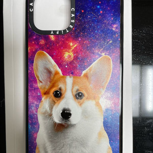 케이스티파이 아이폰12케이스 이미지