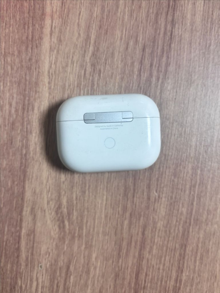 에어팟 프로 1세대 본체--1