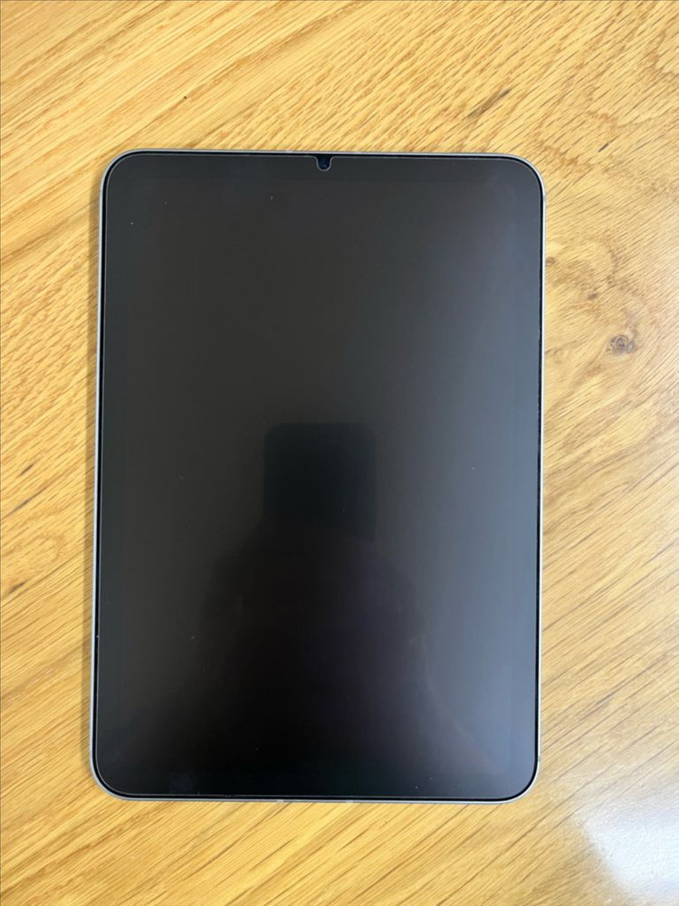 [A+급] 아이패드 미니 256GB 셀룰러 (애플케어 포함) 판매 합니다 이미지