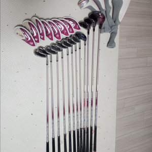 젝시오 여성용 골프채 풀세트 이미지