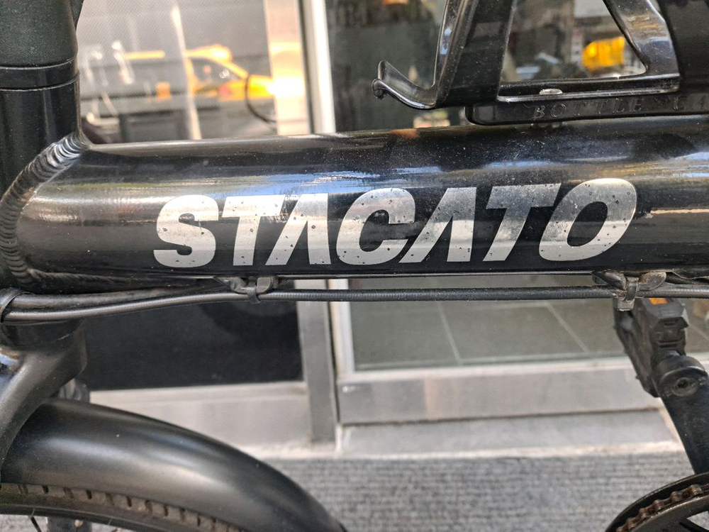 스타카토 VENUS 접이식 전기자전거 20인치 성남시--4