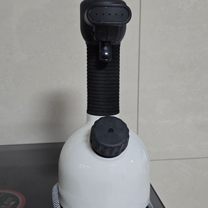 로라스타 이기 스팀다리미