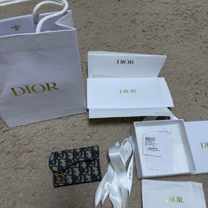 디올 오블리크 새들 여성카드지갑