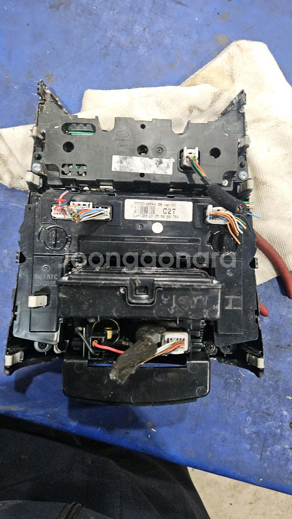 제네시스 쿠페 센타 페시아--5