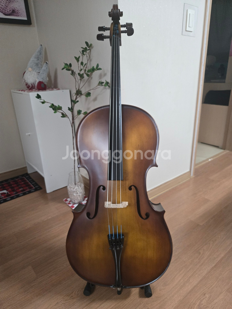 정현첼로250 4/4 사이즈--1