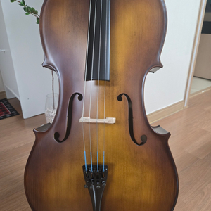 정현첼로250 4/4 사이즈