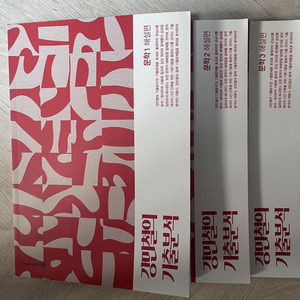 2025 강기분 문학 해설지