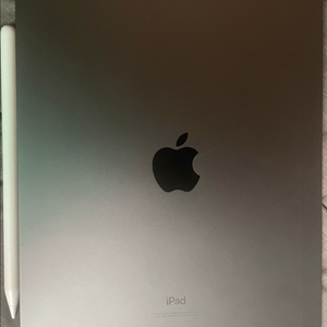 아이패드 에어 4세대 + 로지텍 팬슬+케이스