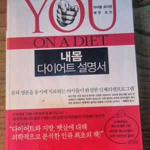 내몸 다이어트 설명서