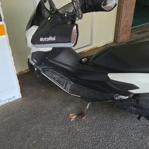 NMAX125 스쿠터 7만