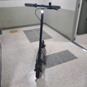 나인봇 전동 킥보드